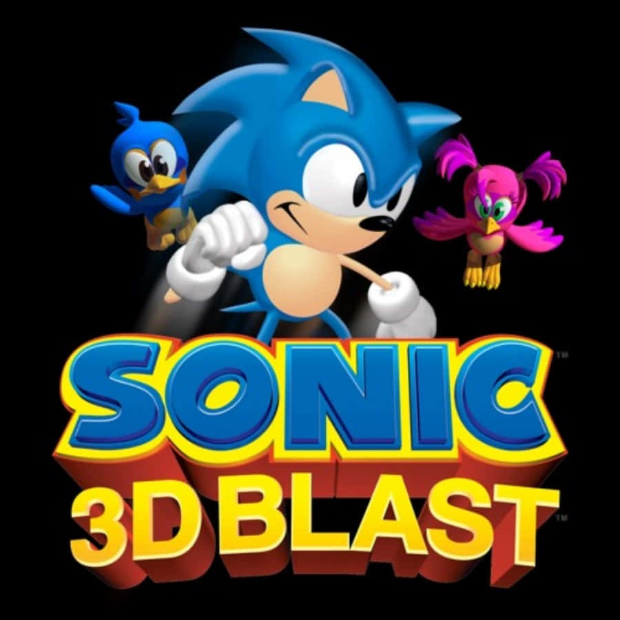 Sonic 3d Blast 桌布 壁紙 — Sonic the Hedgehog 以動態姿勢與兩隻鳥同伴，在黑色背景上搭配粗體3D遊戲標題文字。