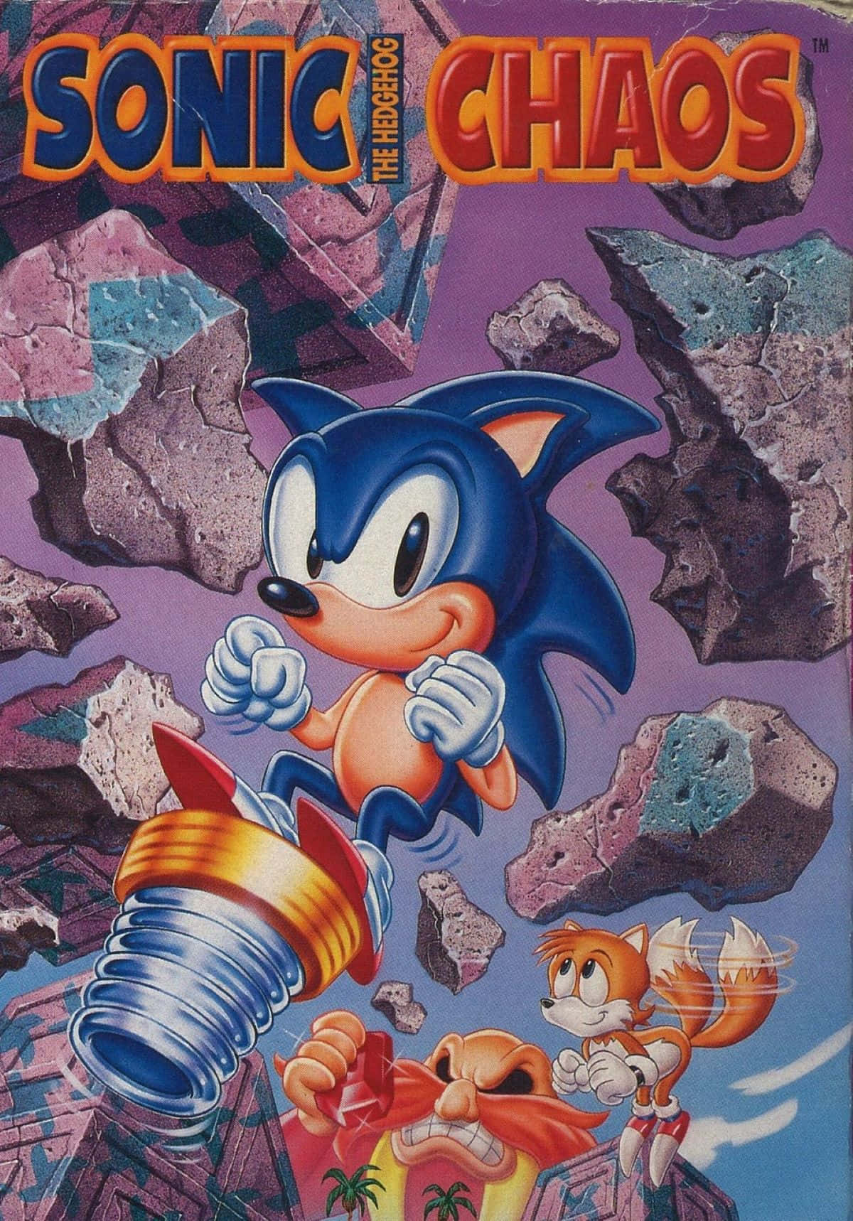  壁紙 — Sonic the Hedgehog 與 Tails 和 Dr. Robotnik 在一個充滿活力的 90 年代電玩遊戲封面中穿越岩石峽谷。
