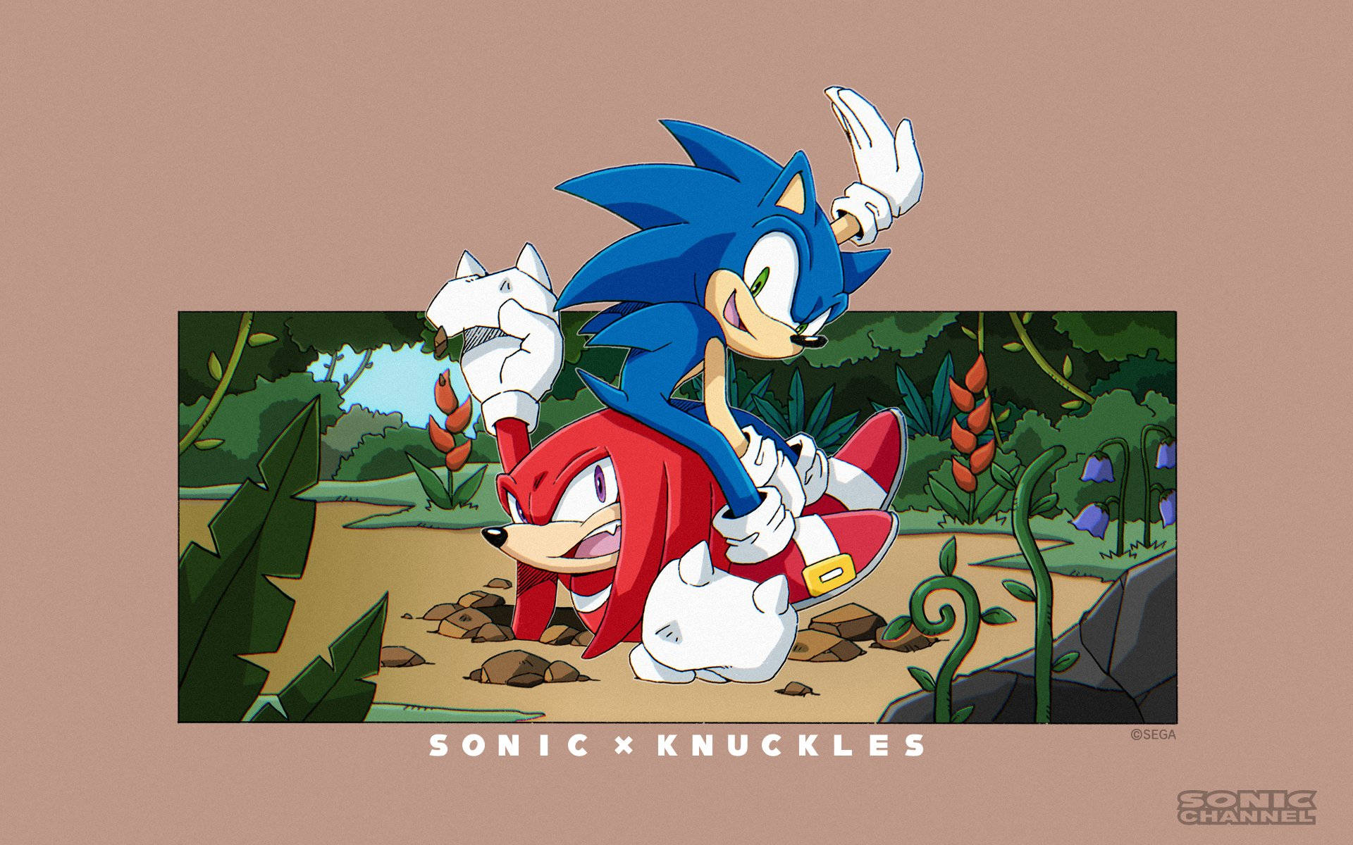 Knuckles 桌布 壁紙 — Sonic the Hedgehog 騎著 Knuckles the Echidna 穿過一個充滿活力的叢林，有茂密的綠植和橙色花朵。