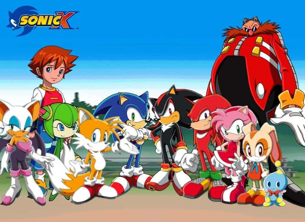 Sonic X 桌布 壁紙 — Sonic X 演員陣容在明亮的藍天和綠色山丘背景下英勇地擺姿勢。