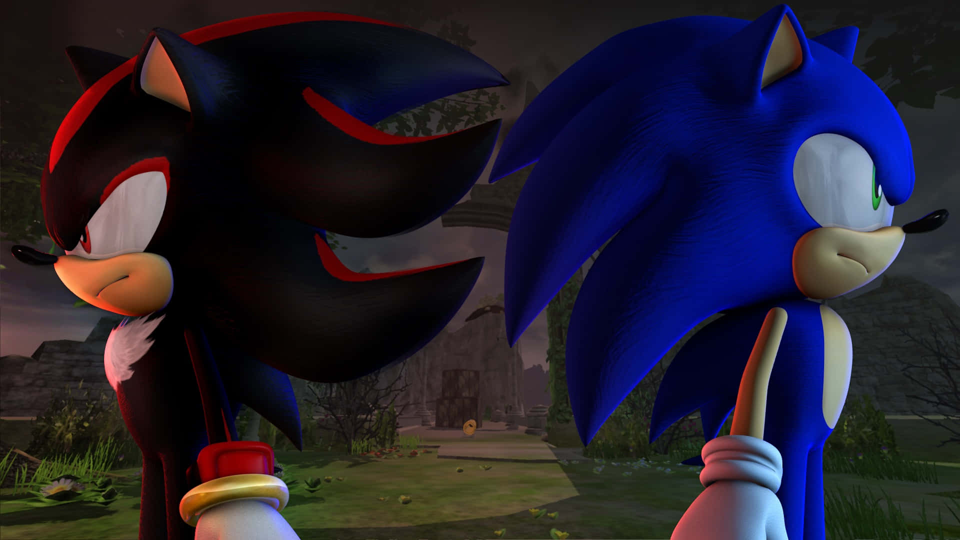 Sonic And Shadow 桌布 壁紙 — Sonic 和 Shadow 並肩站在光線昏暗的森林空地中，身後是迷霧籠罩的廢墟。