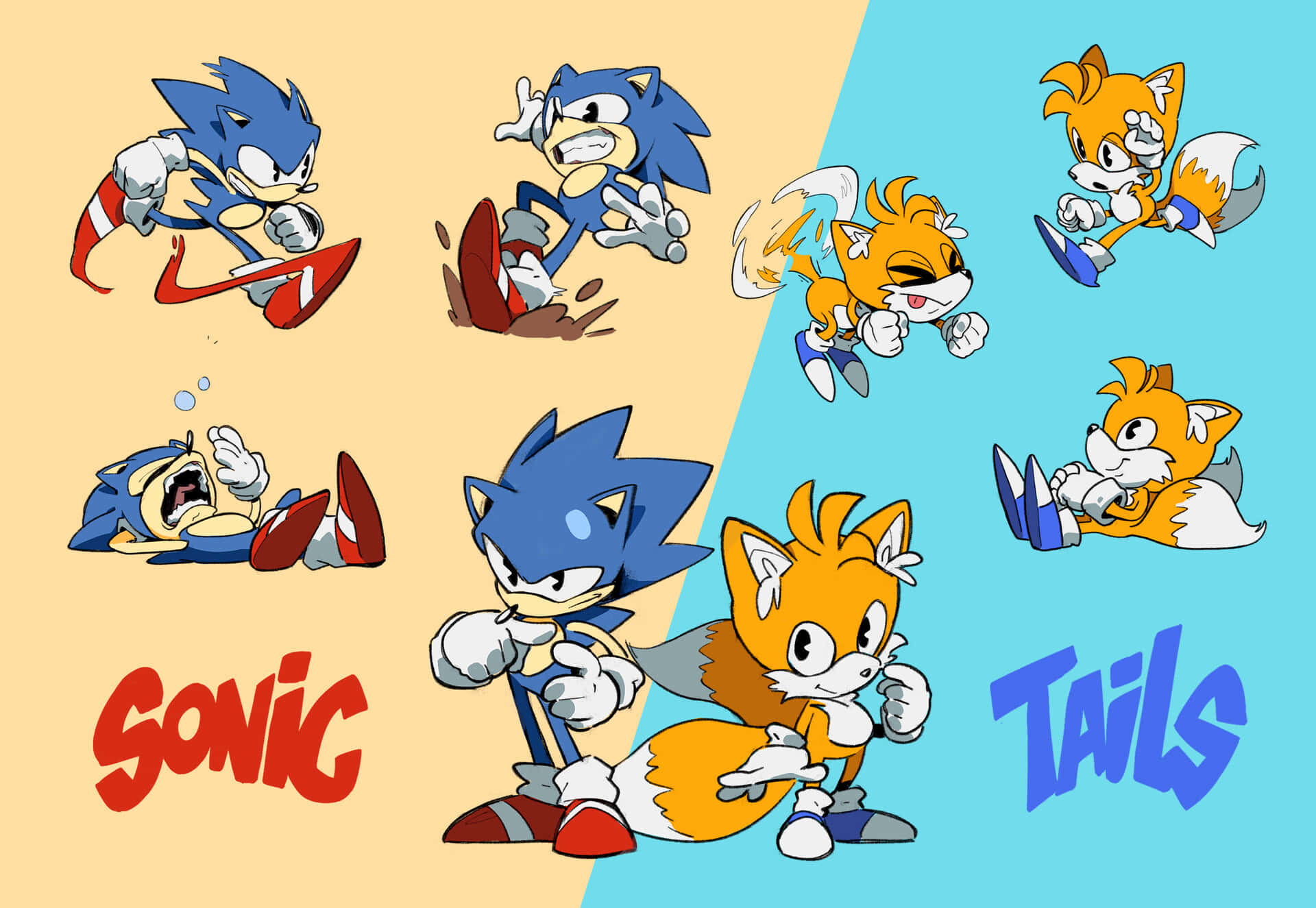 Sonic And Tails 桌布 壁紙 — Sonic 和 Tails 在分割的黃色和藍色背景上擺出動態姿勢，並帶有粗體角色名稱。