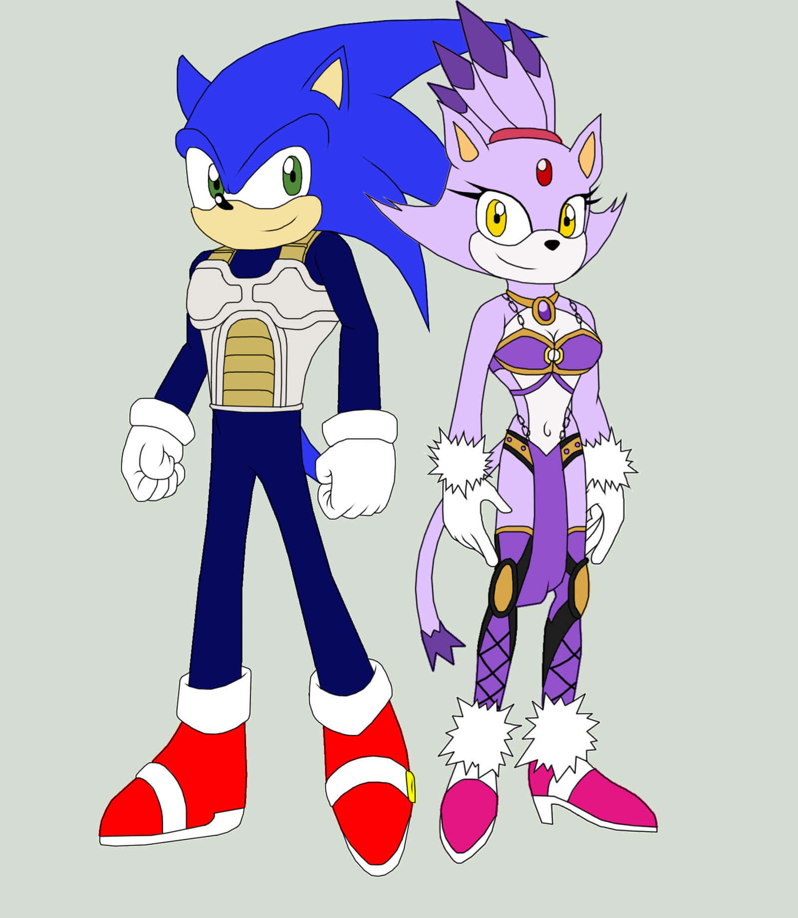 Sonic And Blaze 桌布 壁紙 — Sonic 和一個紫色貓角色並排站在普通灰色背景前，穿著細節豐富的服裝。