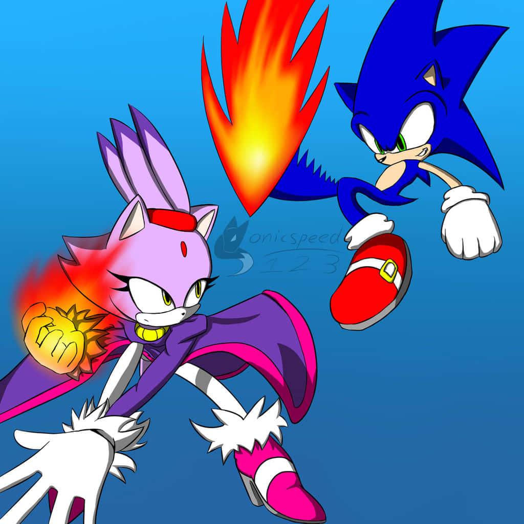 Sonic And Blaze 桌布 壁紙 — Sonic 和一隻紫色兔角色在藍天下並肩競賽，身後留下火焰軌跡。