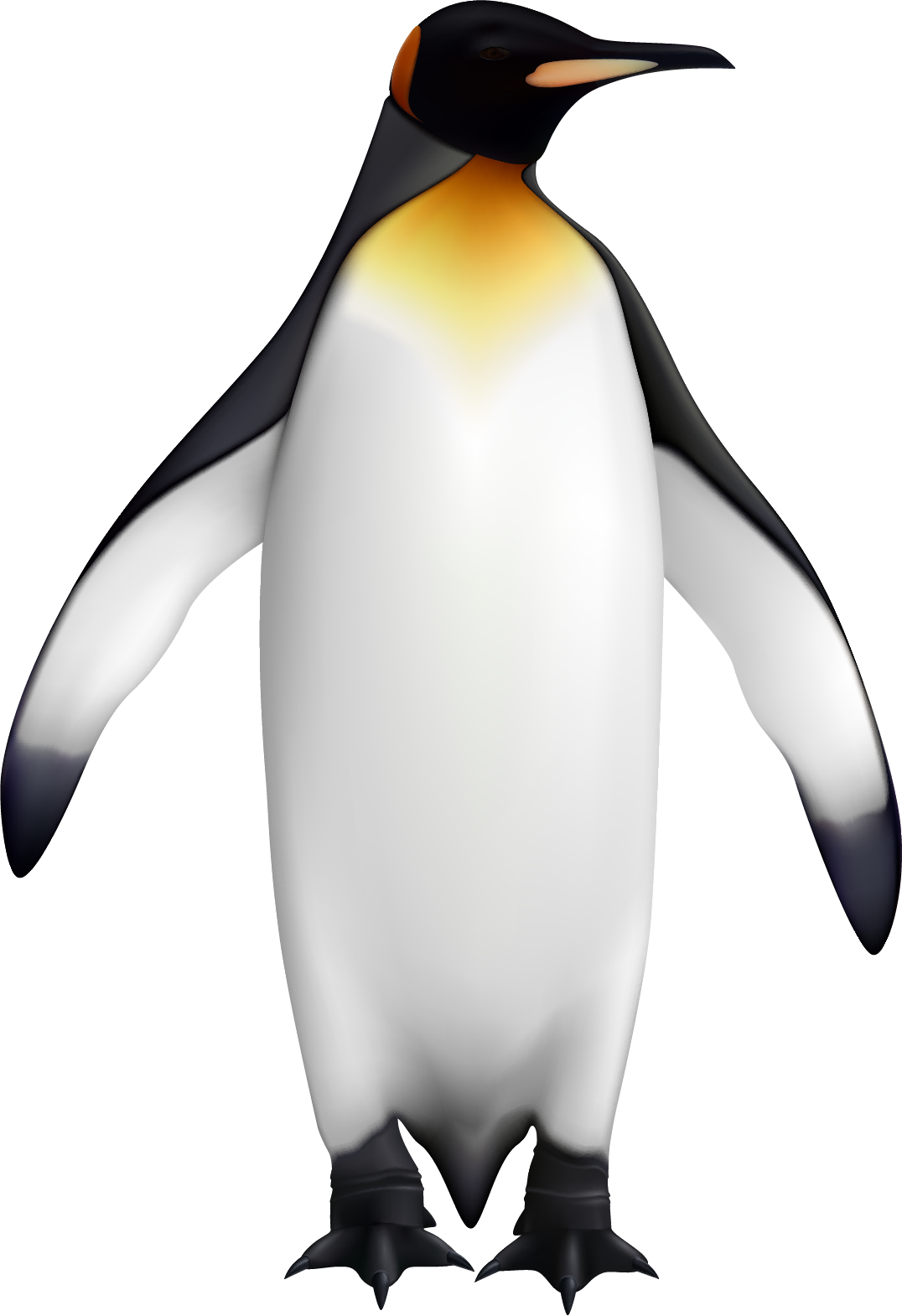 一隻站立的皇帝企鵝，有黑白羽毛和一個黃色的頸部斑塊。 — Linux 壁紙
