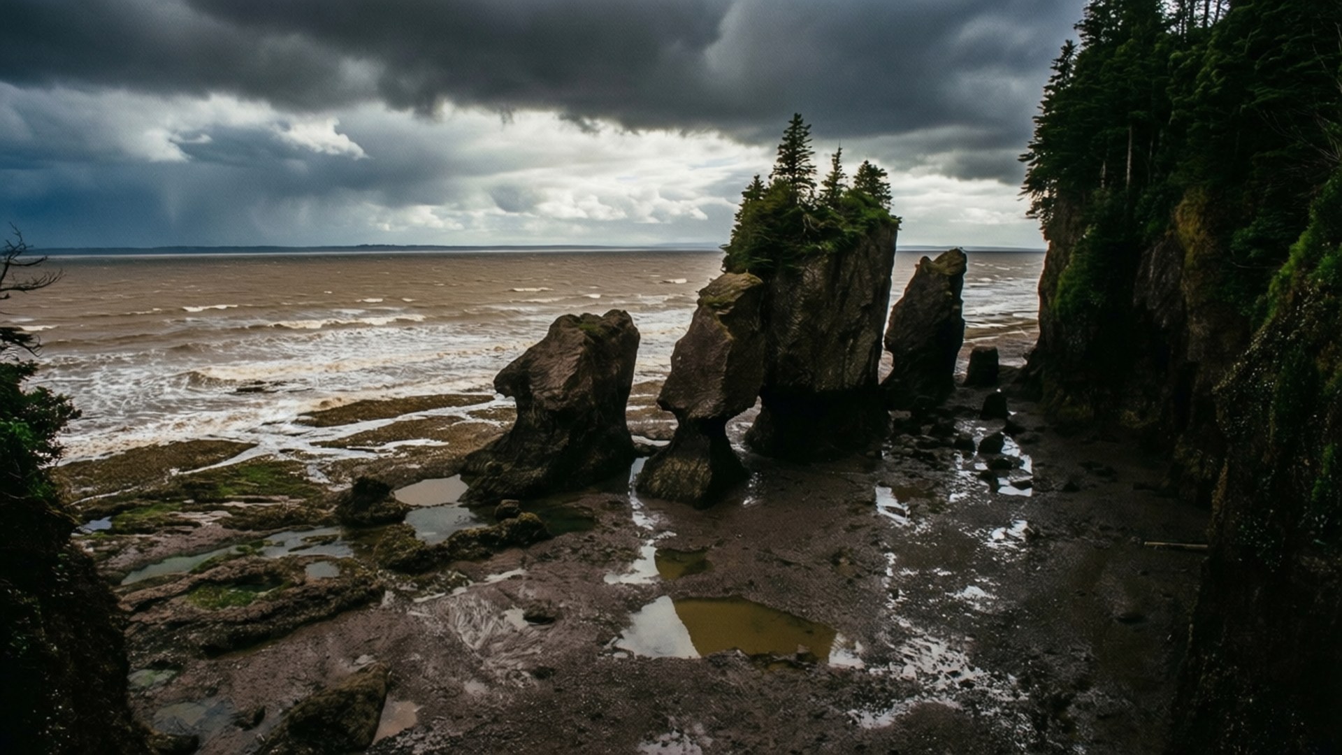 Bay of Fundy Low Tide Drama 壁紙 — 暴風雨的天空籠罩著崎嶇的海岸岩石，松樹緊貼懸崖，下方波濤洶湧。