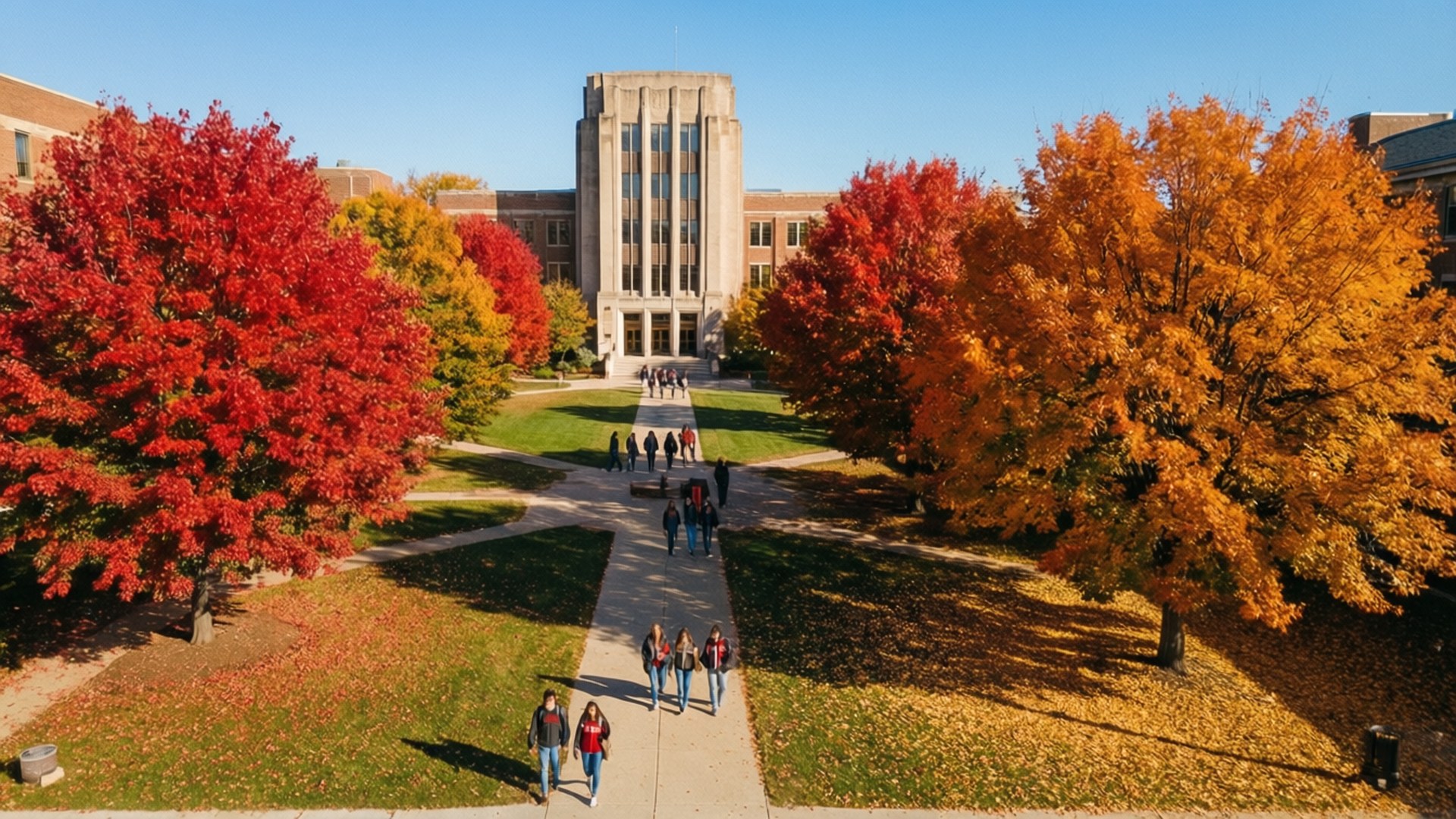University Of Illinois Urbana-Champaign 桌布 壁紙 — 學生們沿著兩旁火紅和金黃秋樹的小徑漫步，走向晴朗藍天下宏偉的大學建築。