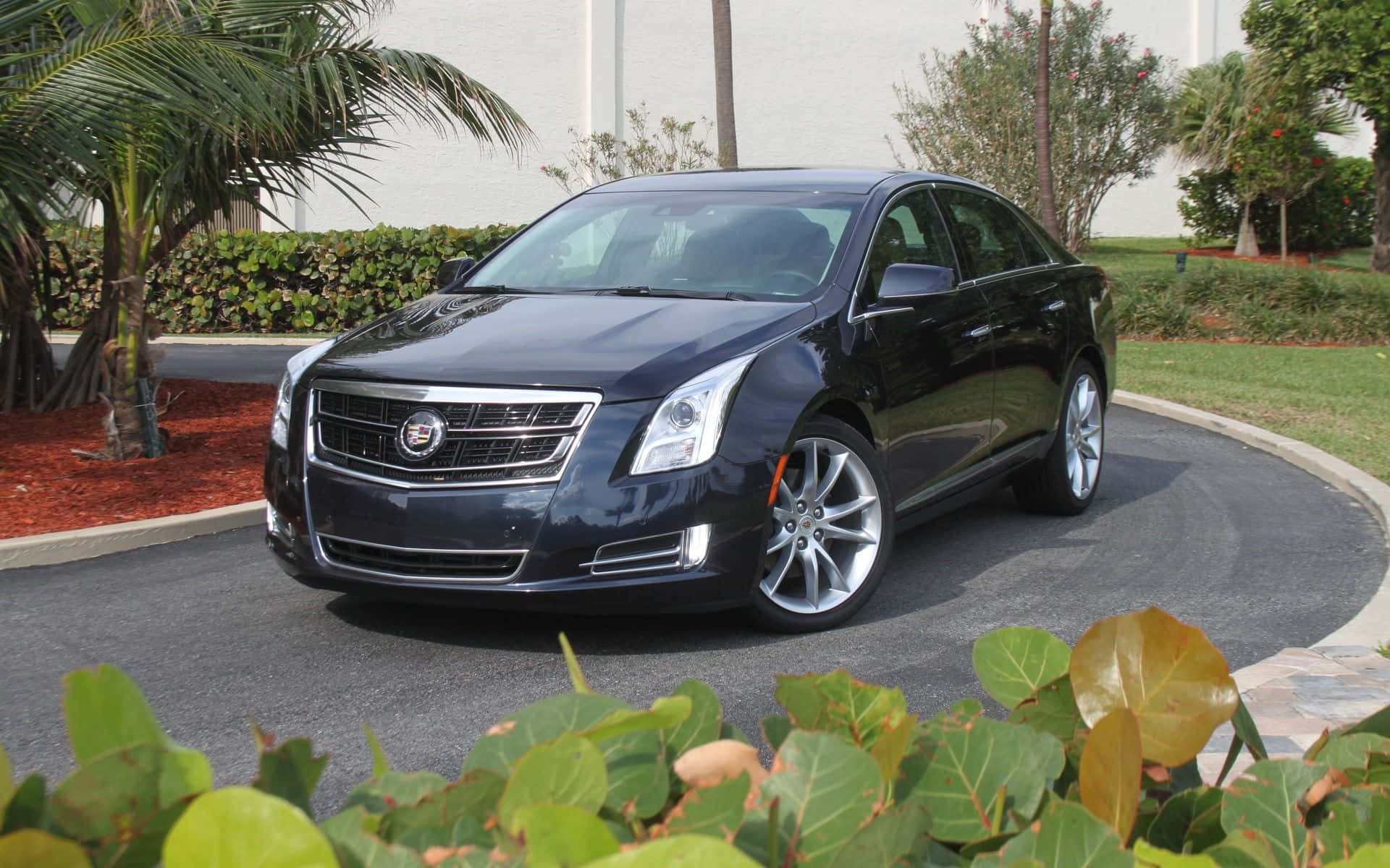 Cadillac Xts 桌布 壁紙 — 一輛時尚的黑色凱迪拉克轎車停放在彎曲的車道上，周圍環繞著茂密的綠植和棕櫚樹。