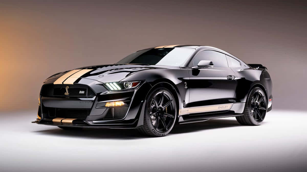  壁紙 — 一輛時尚的黑色福特Shelby Mustang，帶有金色賽車條紋，在攝影棚燈光下閃閃發光。