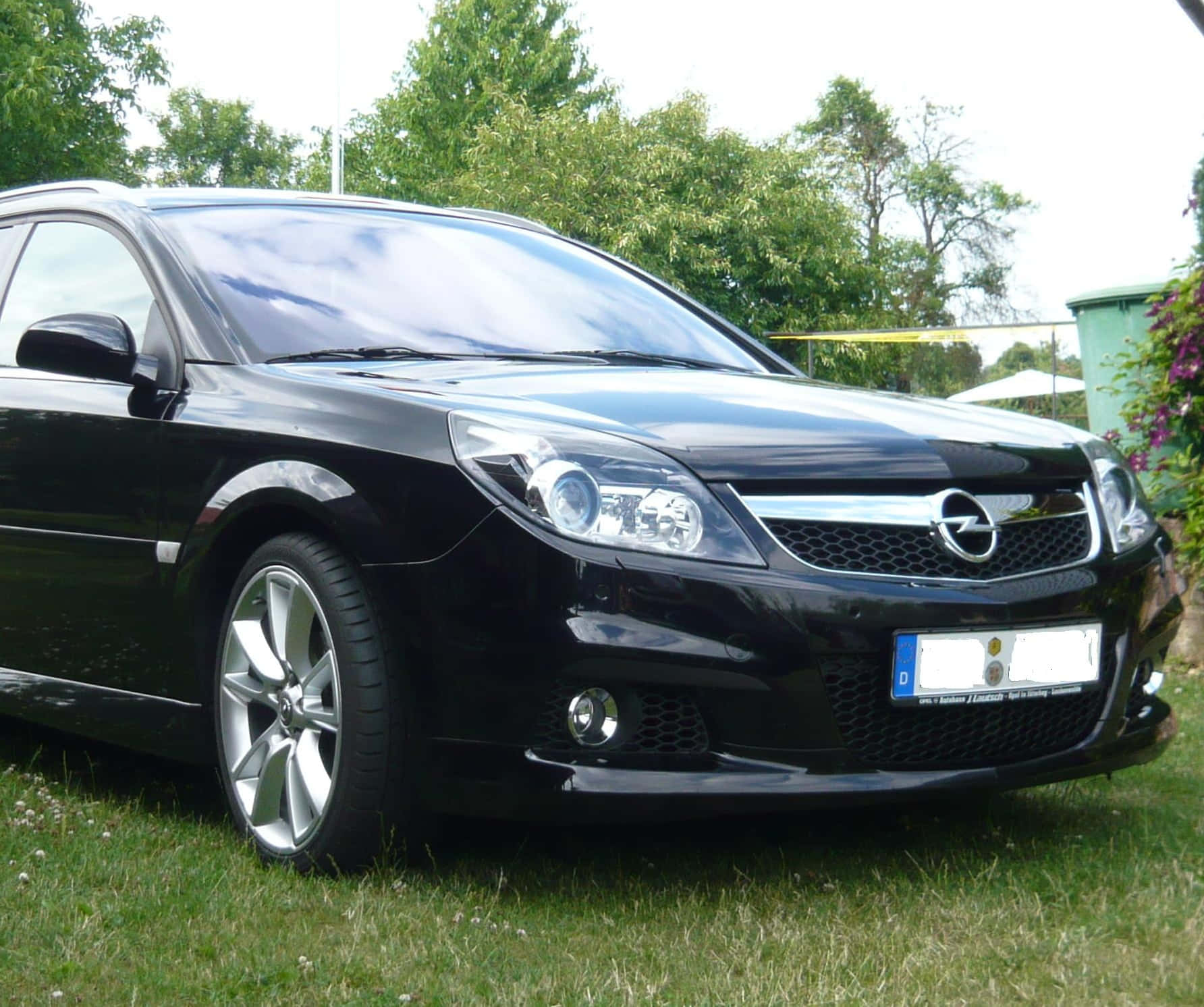 Opel Vectra 桌布 壁紙 — 一輛時尚的黑色歐寶威達停泊在草地上，背景有樹木和花朵，在日光下。