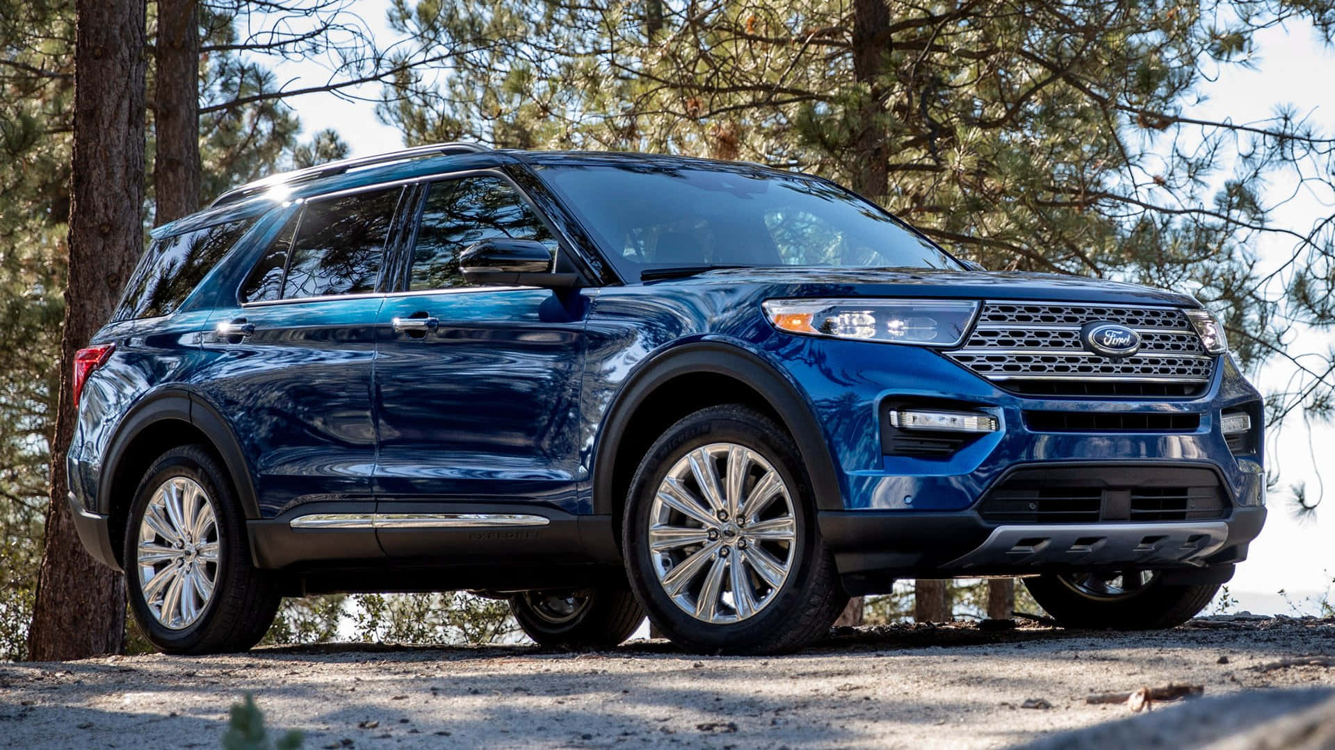 Ford Explorer 桌布 壁紙 — 一輛時尚的藍色福特探險者SUV停在碎石路上，周圍是高聳的松樹，在明亮的日光下。
