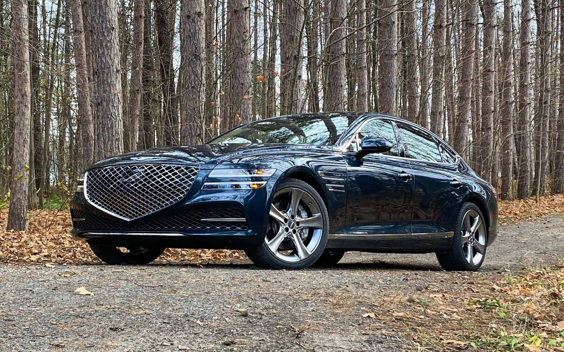 Genesis G80 桌布 壁紙 — 一輛時尚深藍色豪華轎車停泊在森林中一條被高大禿樹環繞的碎石路上。