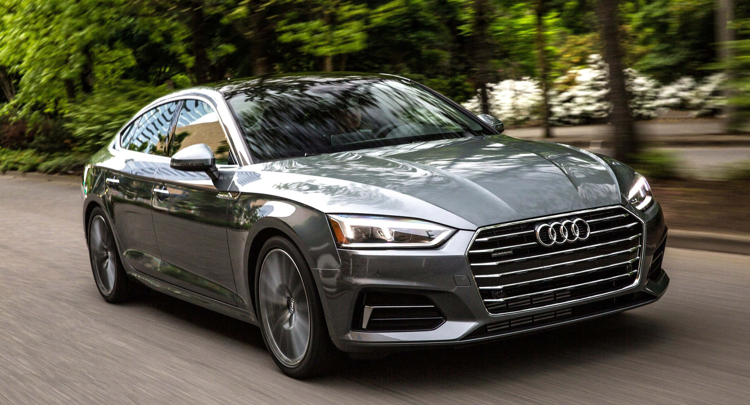 Audi A5 桌布 壁紙 — 一輛時尚的銀色奧迪轎車沿著綠樹成蔭的道路疾馳，動態模糊傳達出動感。