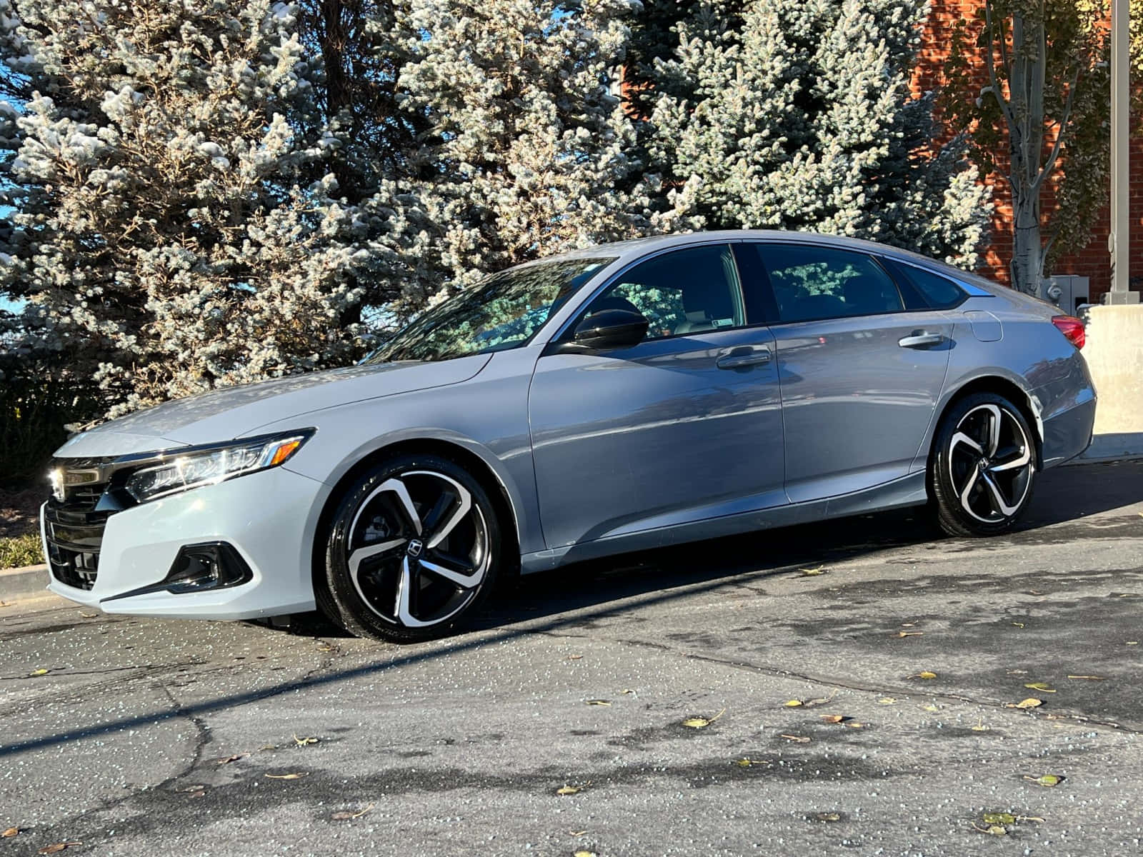 Honda Accord 桌布 壁紙 — 一輛時尚的銀色本田雅閣轎車停在柏油路上，背景有結霜的常綠樹和磚造建築。