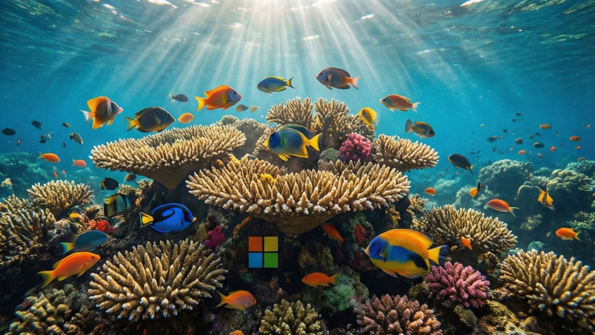 Microsoft Coral Reef 壁紙 — 陽光穿過碧綠海水，照亮了充滿活力的珊瑚礁和圍繞Microsoft標誌游動的彩色熱帶魚。