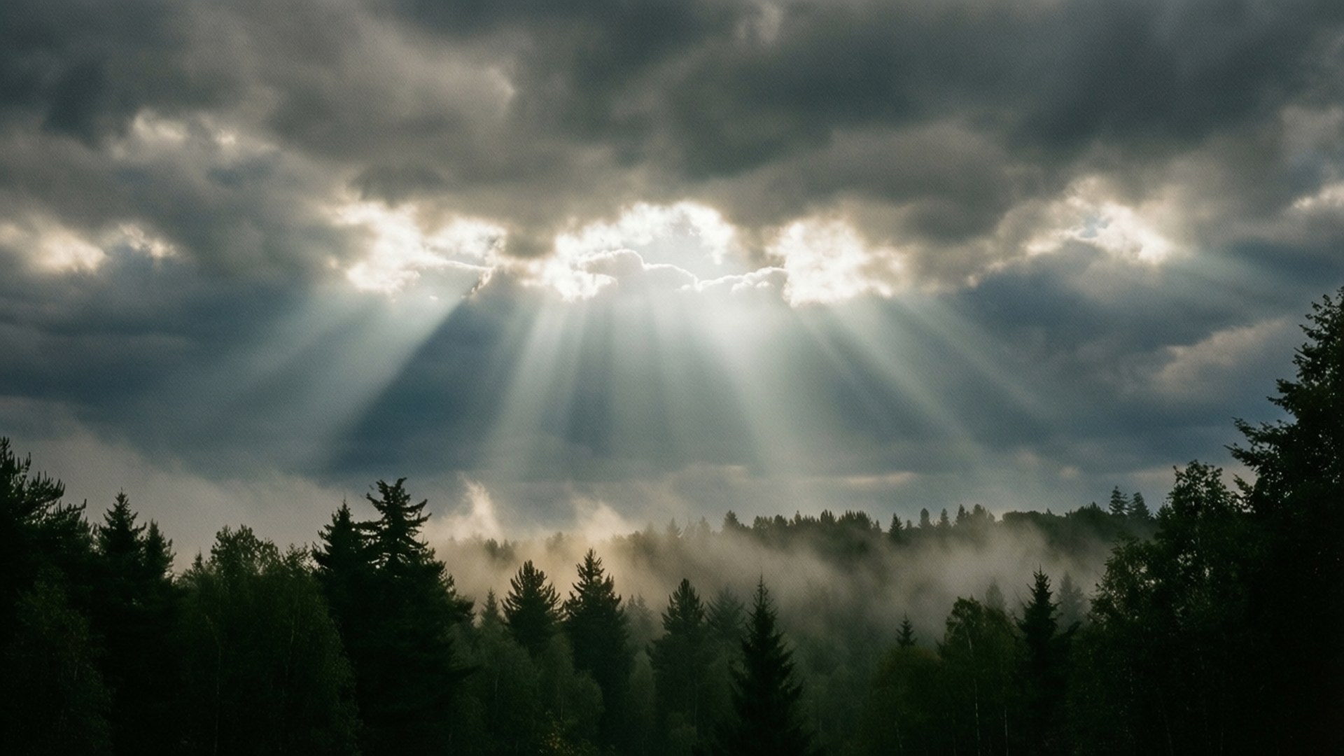 God Rays Forest 壁紙 — 陽光穿過黑暗的暴風雲，照亮了下方霧氣瀰漫的森林山谷。