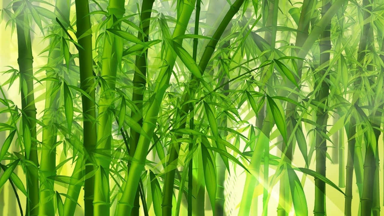  壁紙 — 陽光穿過茂密的翠綠竹莖和竹葉叢林，營造出寧靜的自然景象。