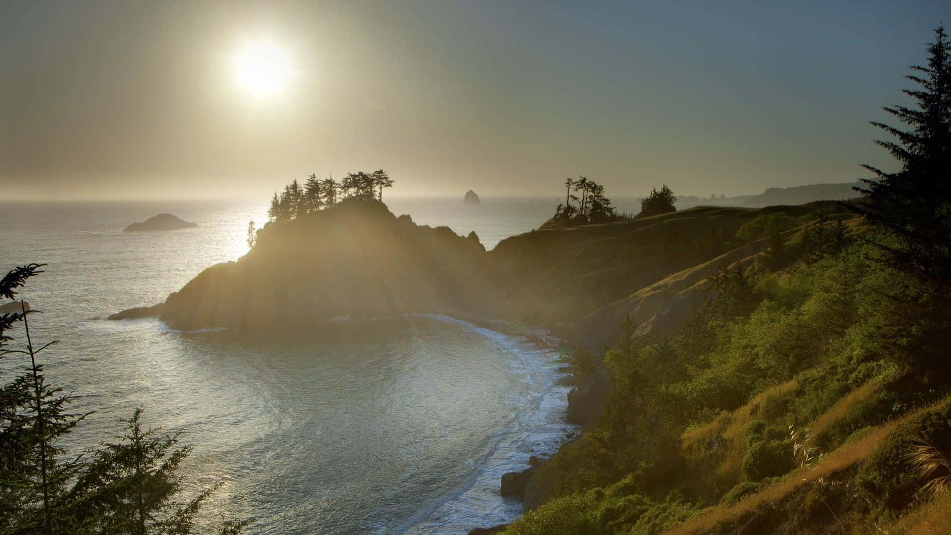 Coastal Sunset 桌布 壁紙 — 陽光照射在崎嶇的海岸懸崖上，伴隨著拍岸的浪濤和茂密的常綠樹。