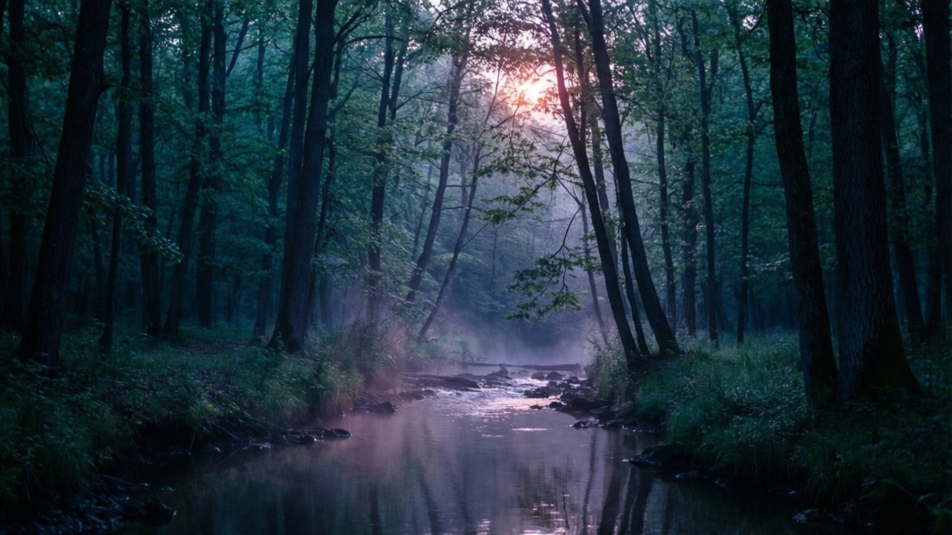 Dawn in the Dark Forest 壁紙 — 陽光穿過霧氣籠罩的樹木，將金色光線投射在平靜的森林溪流上，周圍環繞著高大的深色樹幹和茂密的綠色灌木叢。