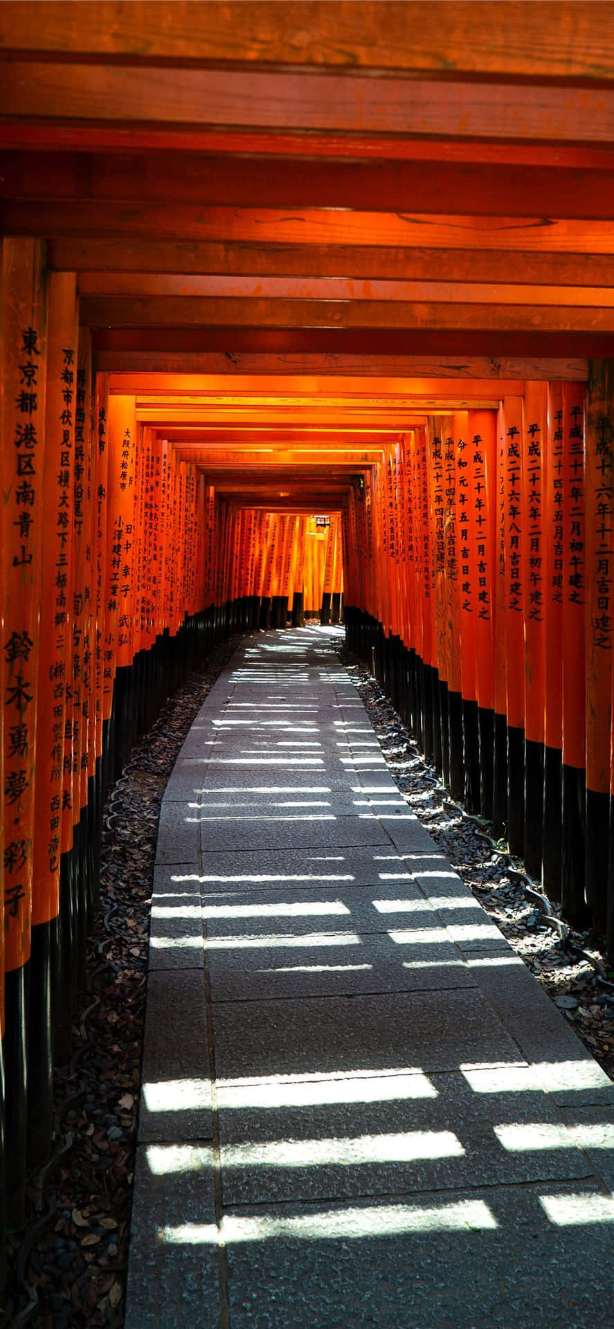 一條由紅色鳥門組成的長路，陽光在石鋪路上投下陰影。 — 日式自然壁紙 壁紙