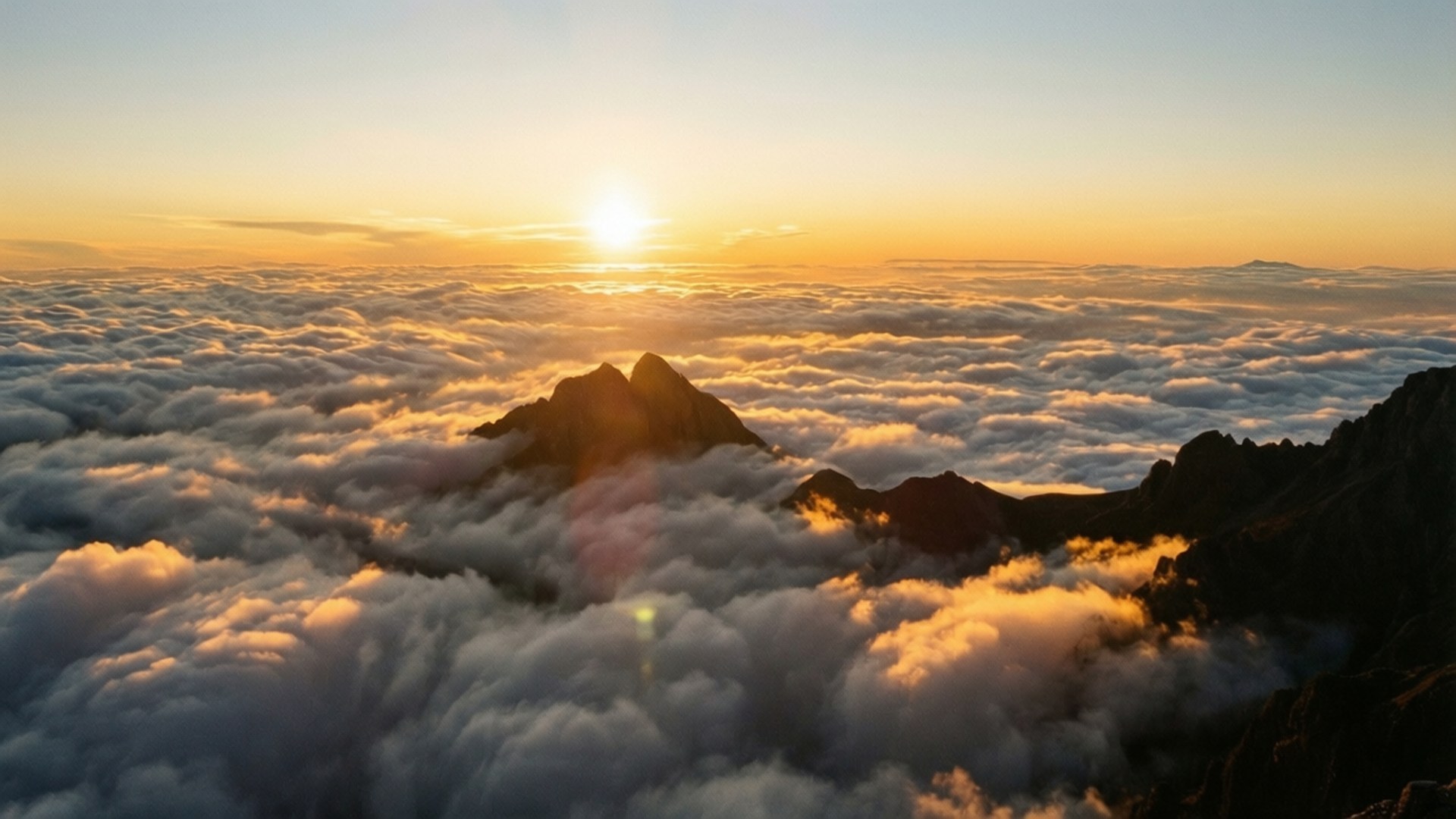 Sea of Clouds Sunrise 壁紙 — 從高山觀景點，日出峰頂刺穿金色雲海。