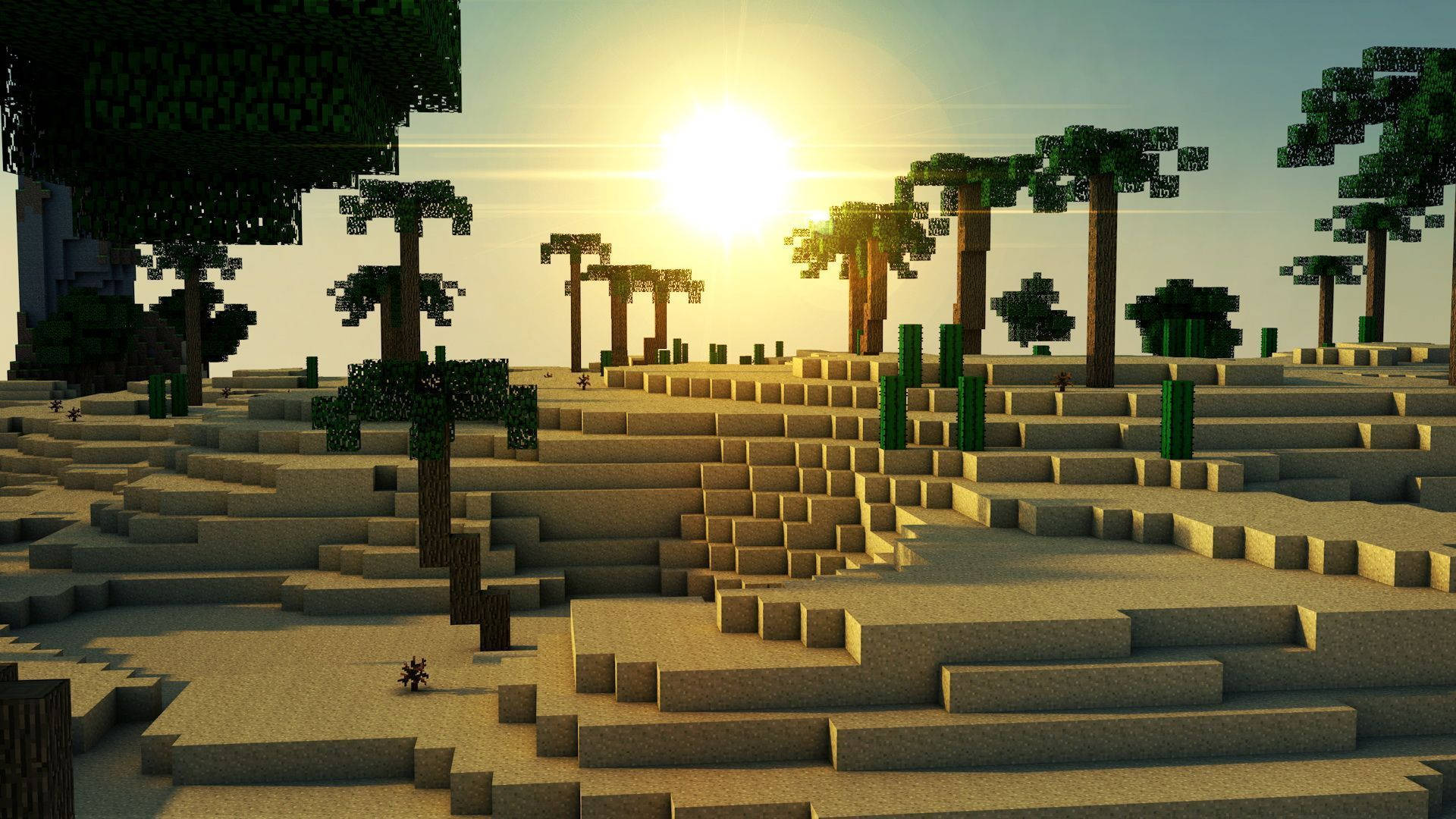 夕陽下的Minecraft稀樹草原，帶有方塊樹木和梯田狀沙地。 — 可愛的 Minecraft 壁紙