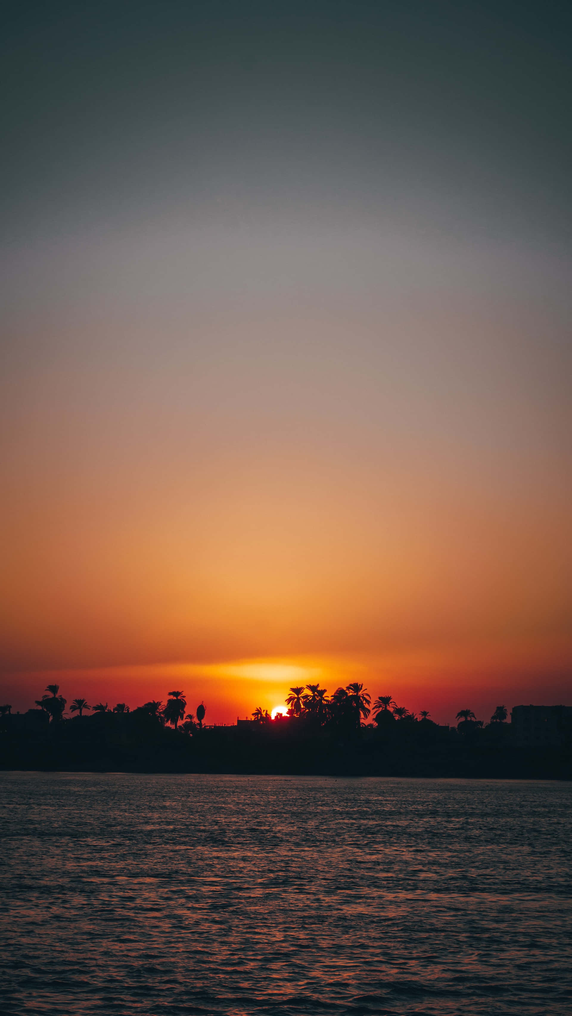 Sunset Hues 桌布 壁紙 — 夕陽以溫暖的橙色和粉紅色調塗抹天空，平靜的水面上有棕櫚樹的剪影。