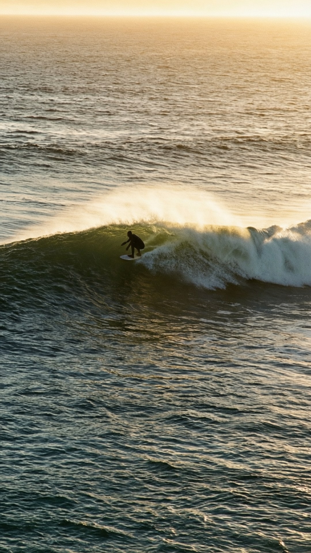Kommetjie Surf Morning 壁紙 — 一名衝浪者在日落時分騎乘捲曲的海浪，金色的光線照亮了水花和深藍色的海洋。