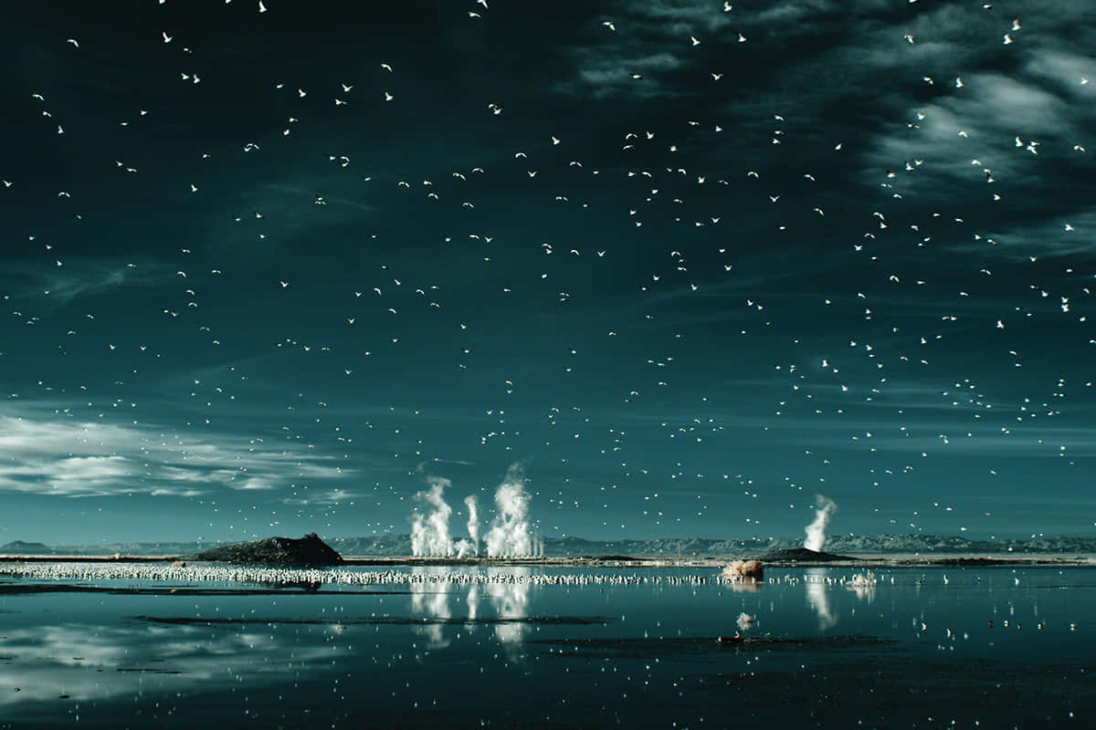  壁紙 — 在陰天天空下，一個超現實的青綠色景觀，有蒸汽通風口和鳥兒在反射的水面上飛翔。