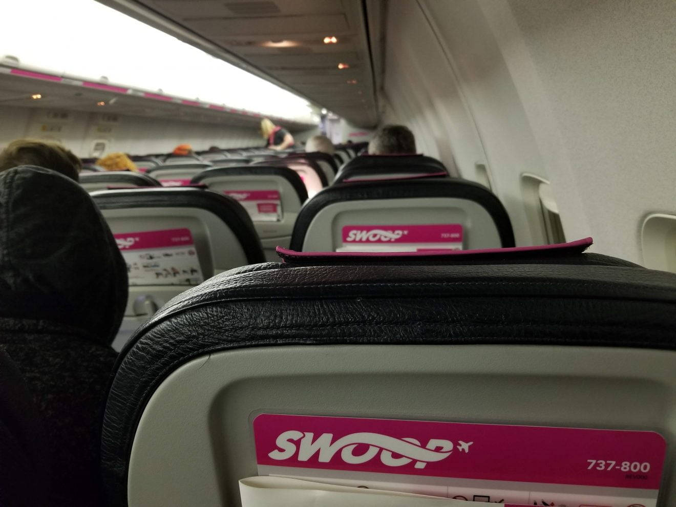 seat 桌布 壁紙 — Swoop Airlines 飛機內部視圖，顯示一排排帶有粉紅色品牌的黑色皮革座椅和遠處的乘客。