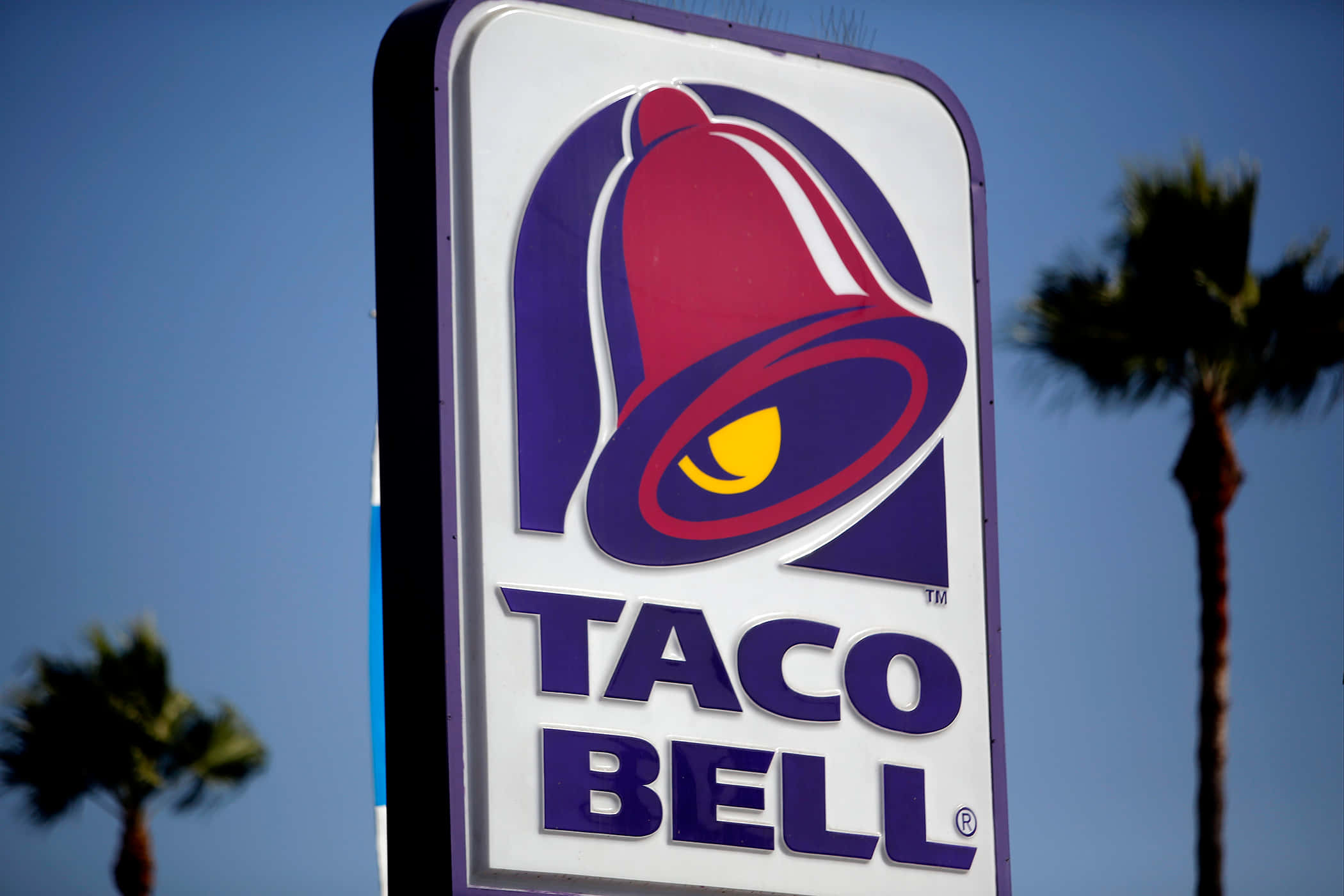 塔可鐘 桌布 壁紙 — Taco Bell 標誌的特寫，帶有紅色鐘形標誌和紫色文字，背景是晴朗的藍天和棕櫚樹。