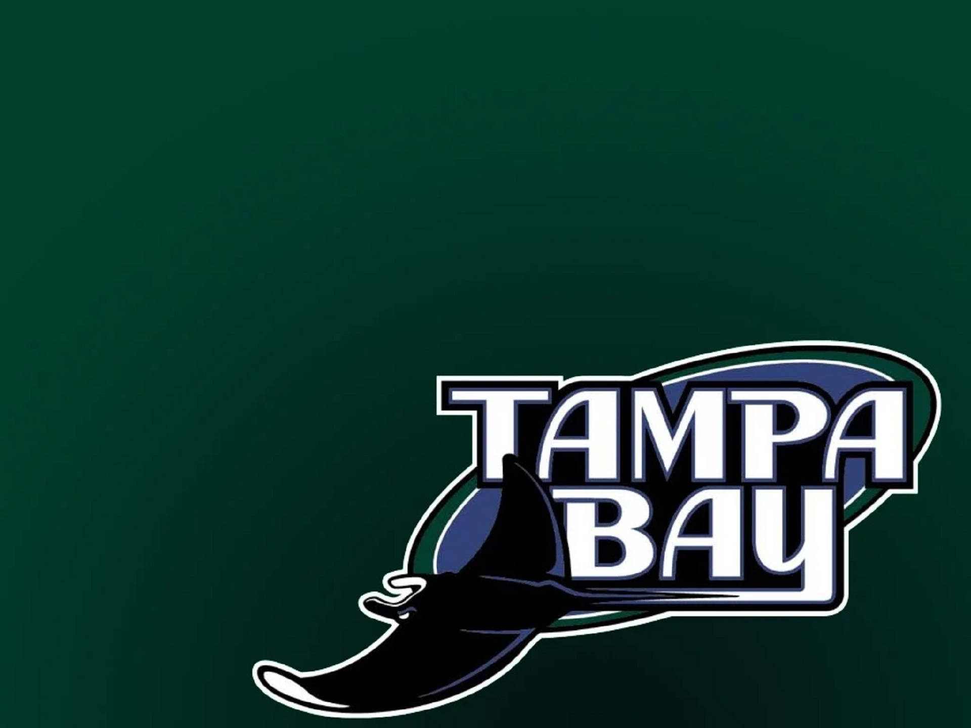 Rays 桌布 壁紙 — Tampa Bay 標誌，在深綠色背景上帶有風格化的鯊魚鰭圖案。