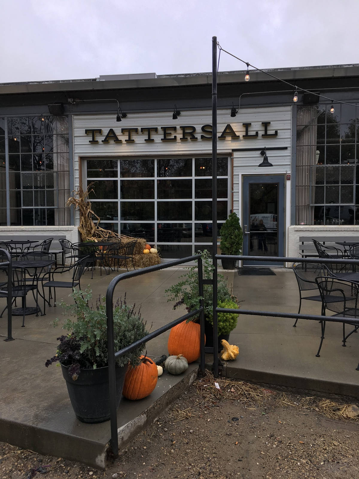 飲料 桌布 壁紙 — TATTERSALL 的鄉村風格戶外庭院，點綴著南瓜、盆栽植物和燈串，天空多雲。