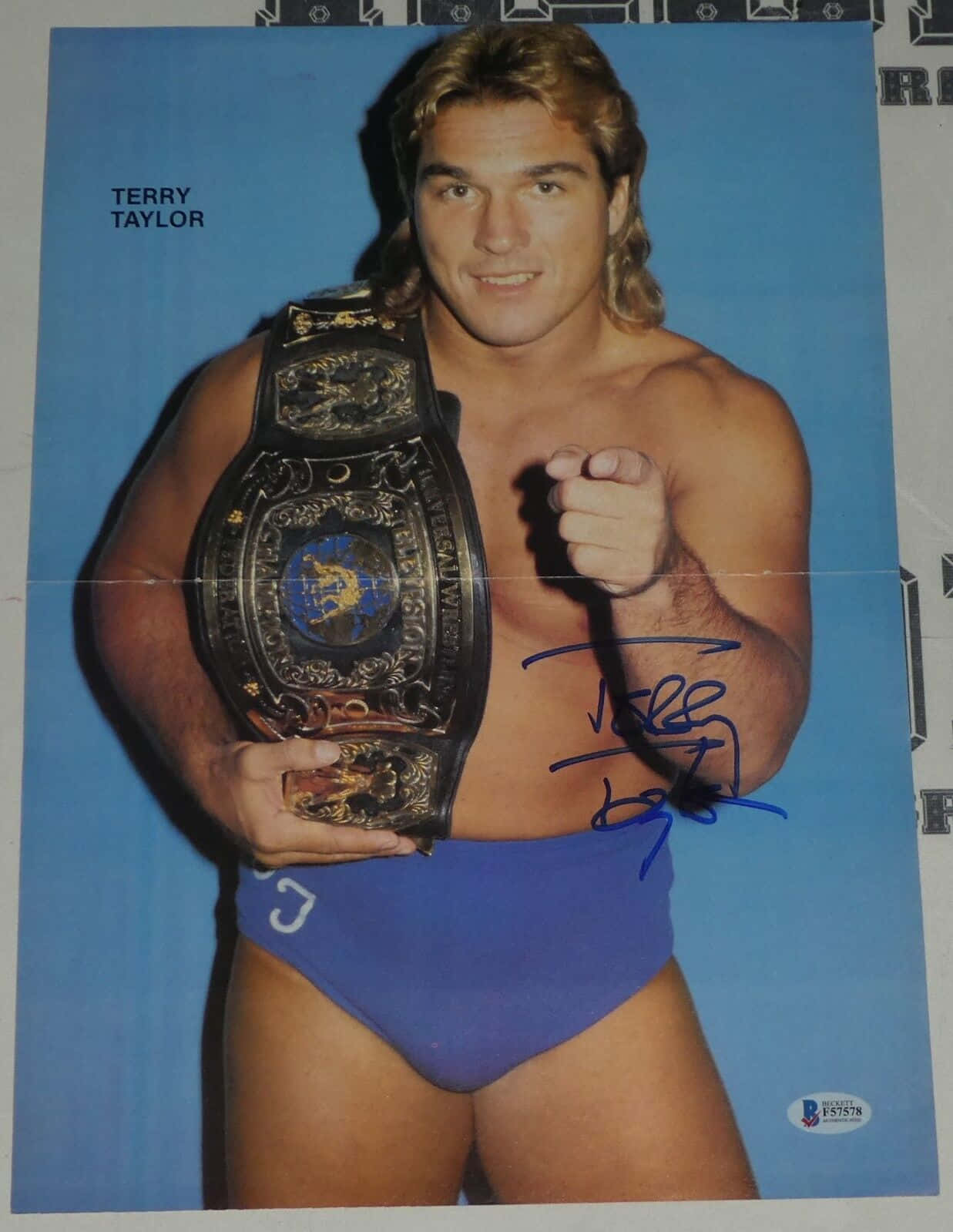 Champion 桌布 壁紙 — Terry Taylor 自信地擺姿勢，身穿藍色摔角短褲，手持冠軍腰帶，背景為純藍色攝影棚。