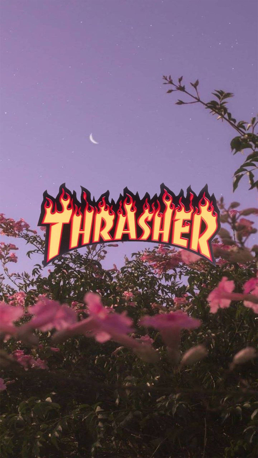 Thrasher 桌布 壁紙 — Thrasher 標誌帶有火焰邊緣，在黃昏天空、新月和粉紅色開花灌木的映襯下閃耀。