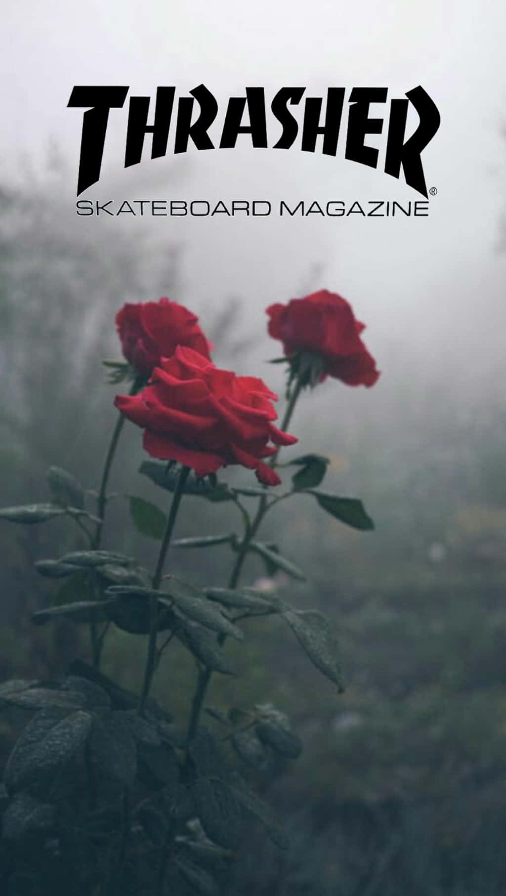 Thrasher 滑板雜誌封面 壁紙