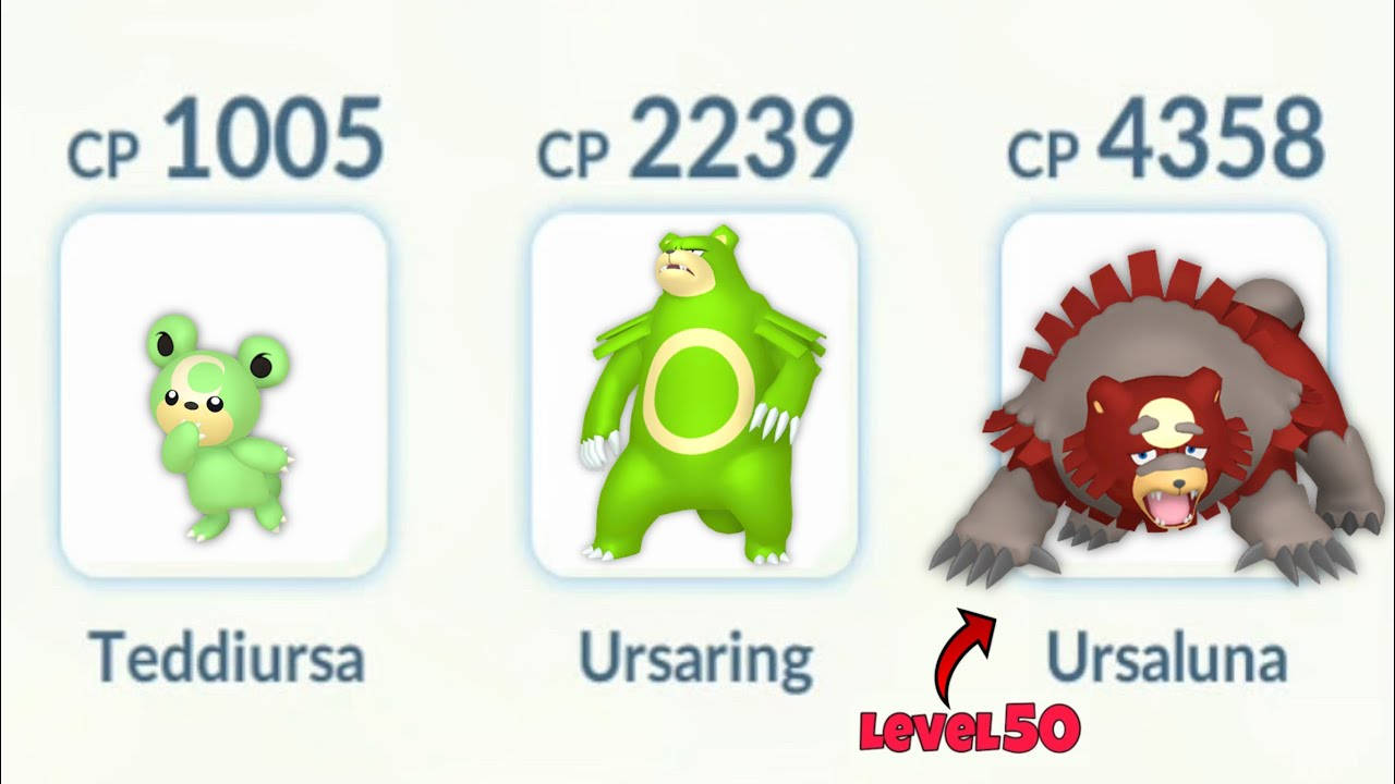 三張寶可夢進化卡顯示了Teddiursa、Ursaring和Ursaluna，附有CP值，並有一個紅色箭頭指向標示為Level 50的Ursaluna。 — 寶可夢傳說 阿爾宙斯 壁紙