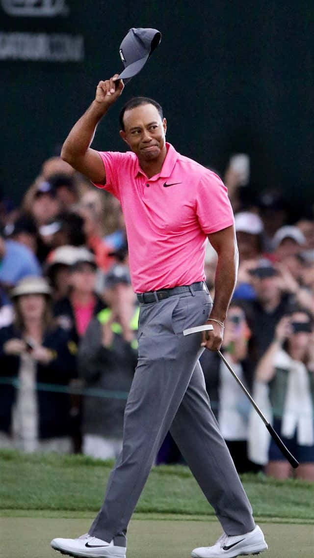  壁紙 — Tiger Woods 身穿亮粉紅色Polo衫，在綠色球場上揮舞高爾夫球桿向球迷致意。