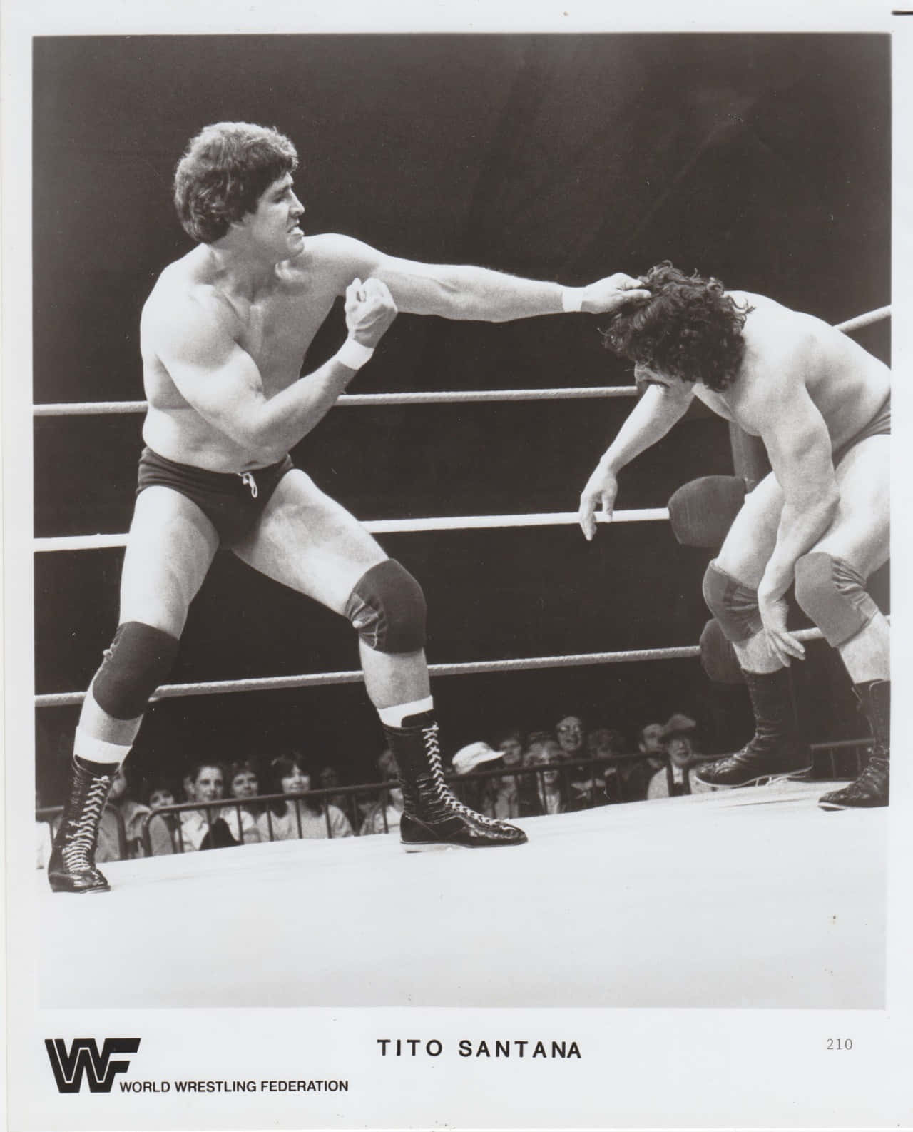 黑白 桌布 壁紙 — Tito Santana 在戲劇性的摔角擂台時刻向對手發出強力一拳。