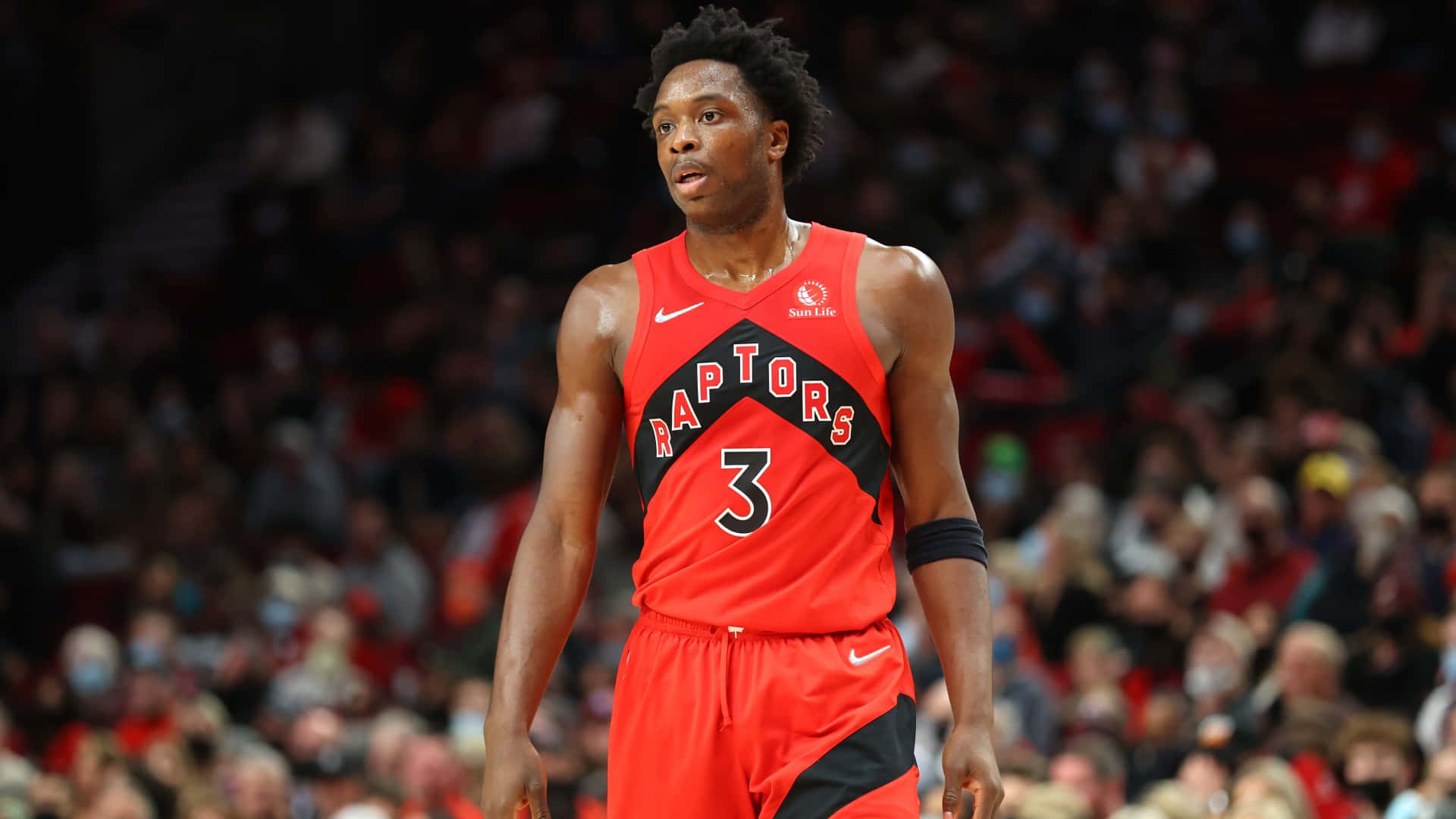 比賽期間在籃球場上的多倫多暴龍3號球員。 — NBA 壁紙