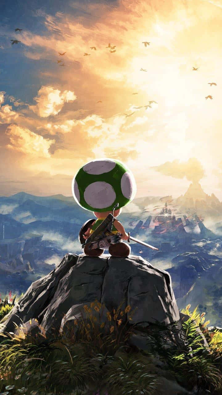 toad 桌布 壁紙 — Toadette 在日落時站在岩石山頂上，手持劍，眺望有鳥兒在頭頂飛過的霧氣山脈。