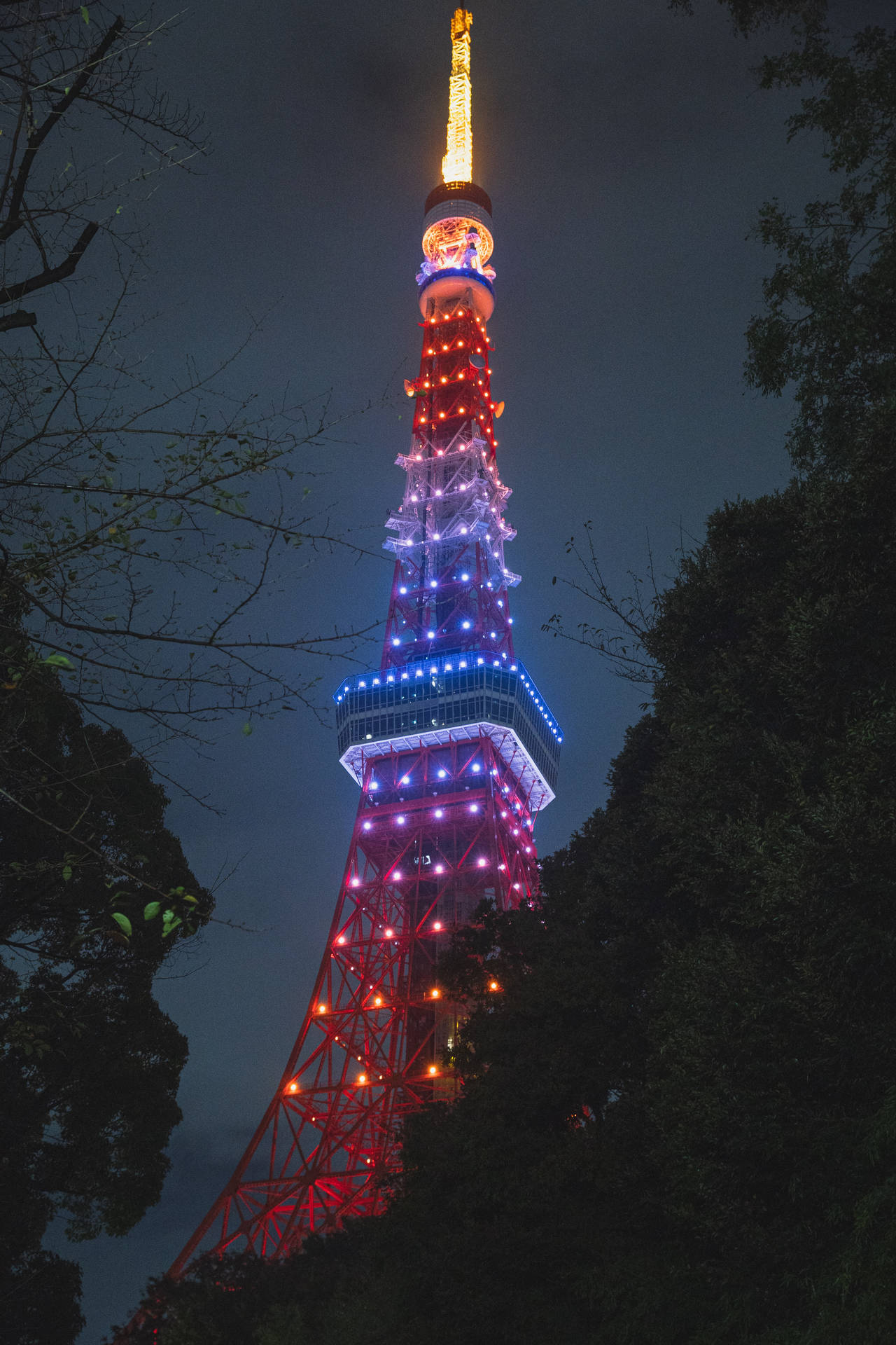 夜晚的東京鐵塔被紅、藍、金色燈光照亮，周圍環繞著樹木。 — 東京鐵塔 壁紙