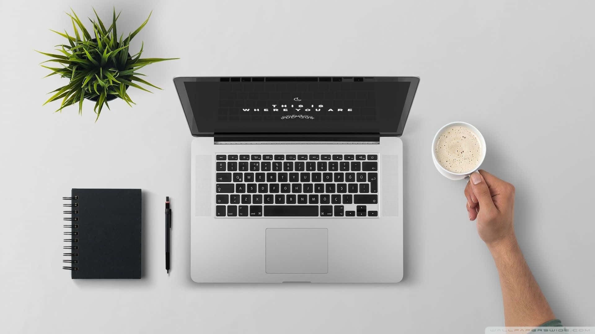 Desk 桌布 壁紙 — Top-down view of a minimalist workspace with a laptop notebook pen plant and hand holding coffee cup.