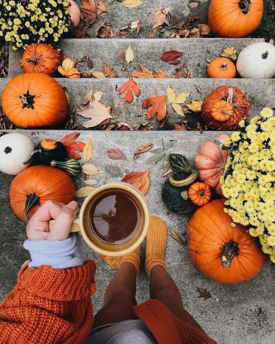 萬聖節動圖 桌布 壁紙 — Top-down view of a person in cozy sweaters holding a mug surrounded by pumpkins autumn leaves and yellow mums on stone steps.