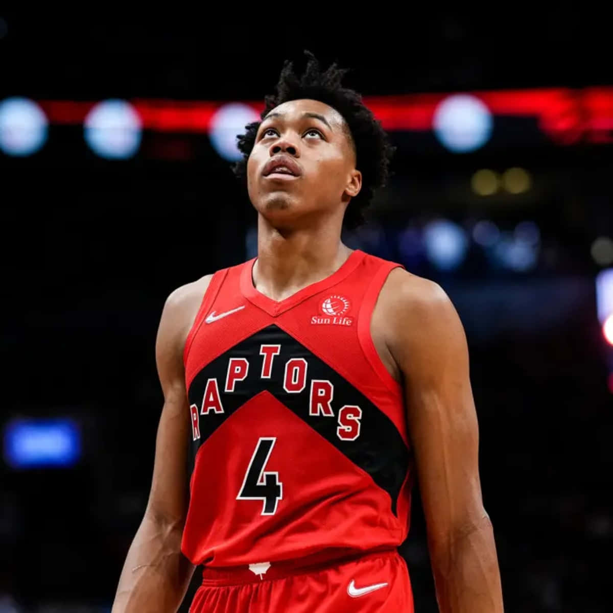 多倫多暴龍隊4號籃球運動員在比賽期間向上看。 — NBA 壁紙