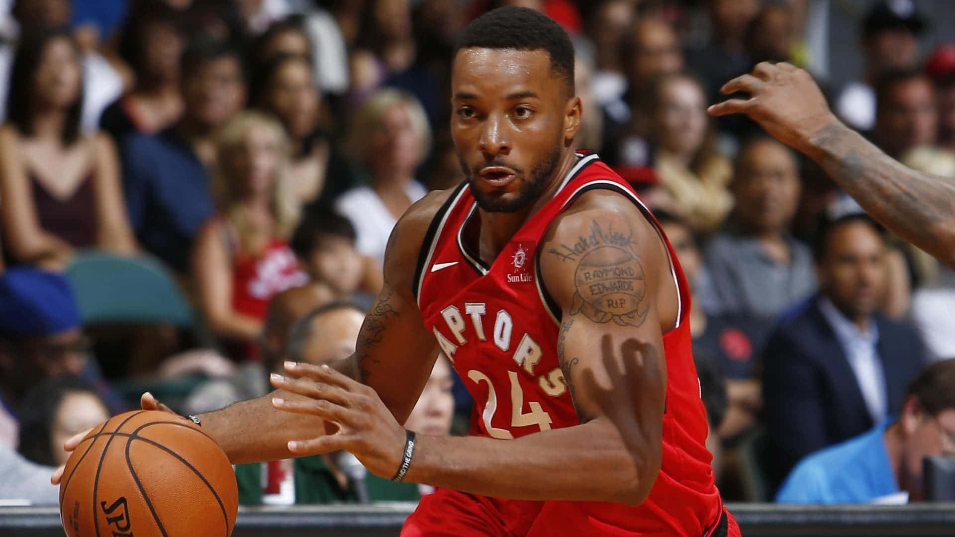 多倫多暴龍隊籃球運動員在比賽中運球，背景有觀眾。 — NBA 壁紙