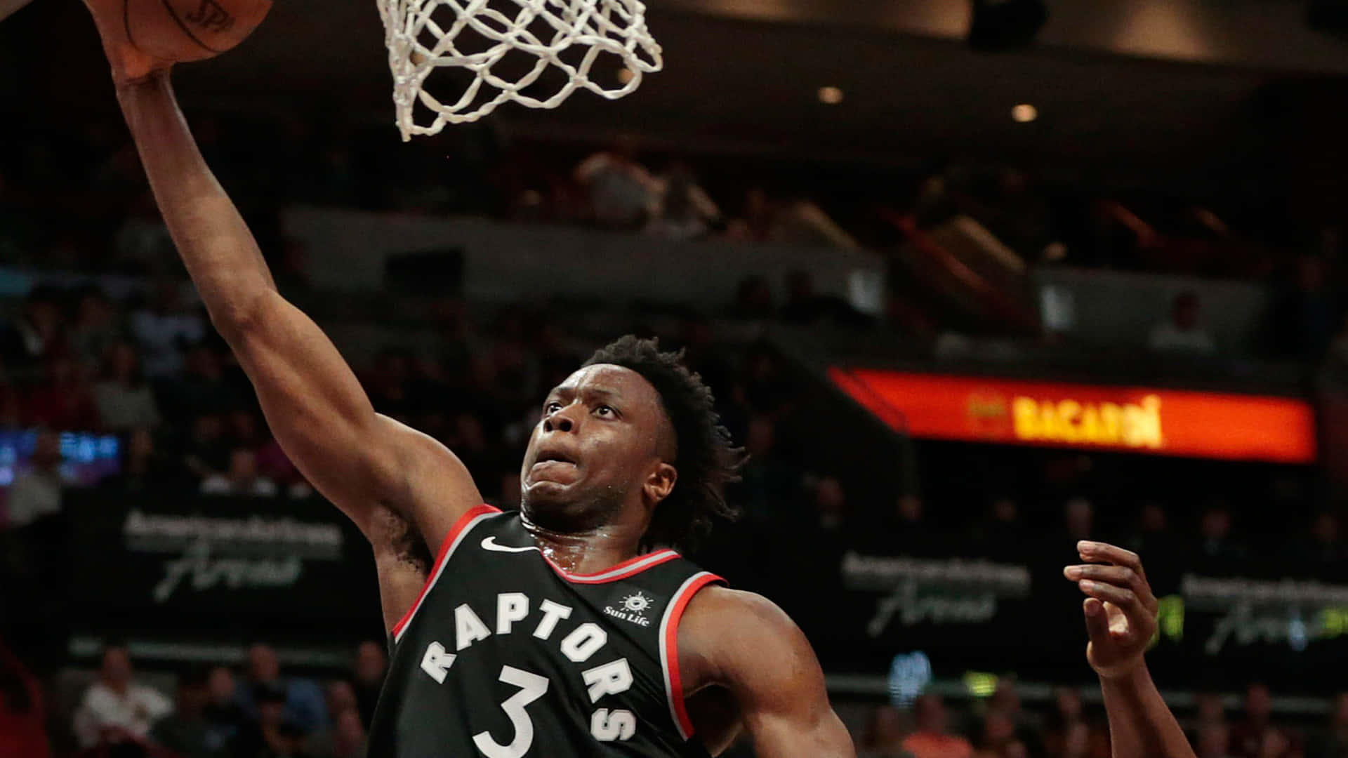 多倫多暴龍隊籃球運動員在擠滿觀眾的場館中灌籃。 — NBA 壁紙