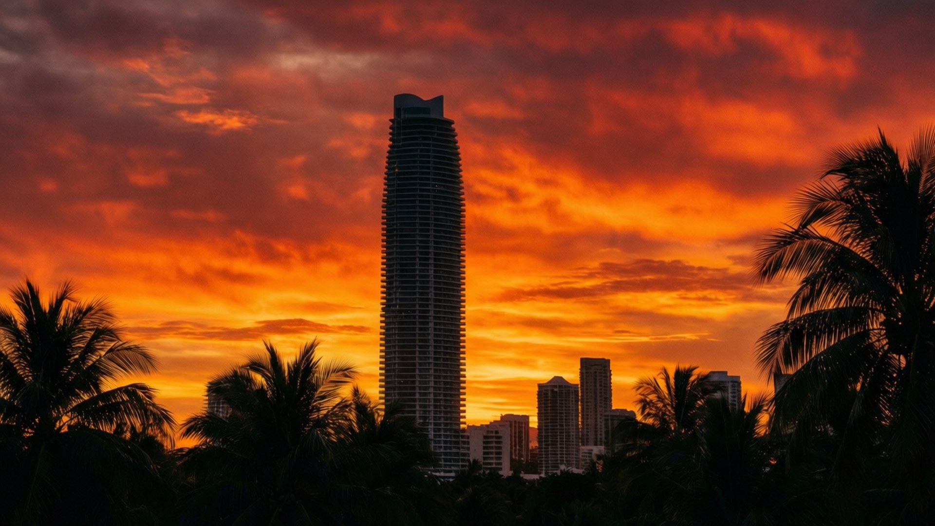 Sunset Silhouette Tower 壁紙 — 一座高聳的摩天大樓在火紅橙色的日落天空下形成剪影，前景有棕櫚樹。