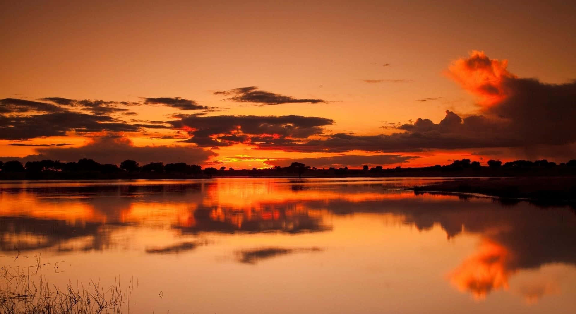Sunset Reflection 桌布 壁紙 — 平靜的湖面上，寧靜的日落完美對稱地映照出火紅的橙色雲彩和樹木的剪影。