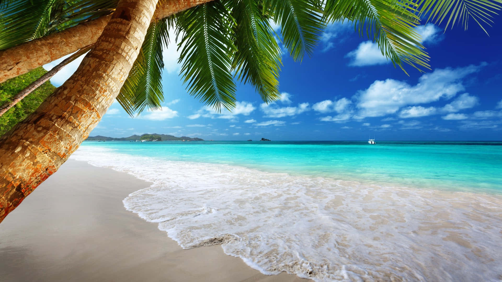  壁紙 — 充滿活力的熱帶海灘場景，碧綠的海浪拍打著金色沙灘，明亮的藍天下襯托著茂密的綠色棕櫚葉。